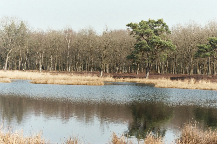 20040317 hoogeveen0002